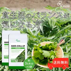 長命草＋日本山人参 約3か月分×2袋 C-528-2 サプリメント 健康