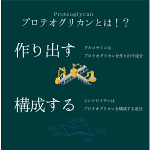 プロテオグリカン 約1か月分 C-533 (3...の詳細画像2