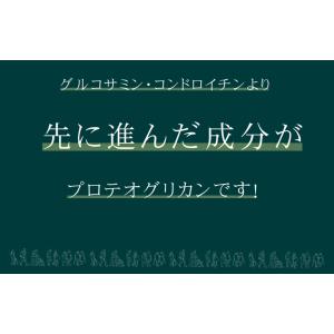プロテオグリカン 約1か月分 C-533 (3...の詳細画像3