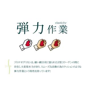 プロテオグリカン 約1か月分 C-533 (3...の詳細画像4
