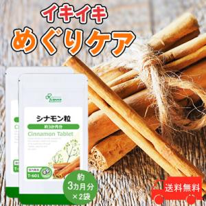 シナモン粒 約3か月分×2袋 T-601-2 (360粒×2袋) サプリ