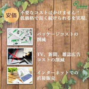 シナモン粒 約3か月分×2袋 T-601-2 ...の詳細画像4