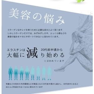 エラスチン 約3か月分 C-237 (90カプ...の詳細画像2
