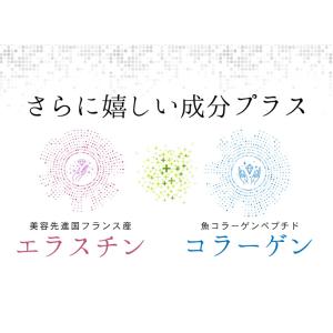 エラスチン 約3か月分 C-237 (90カプ...の詳細画像4