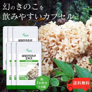 ハナビラタケ 白幻鳳凰 LP カプセルタイプ 100粒 1箱 乳酸発酵