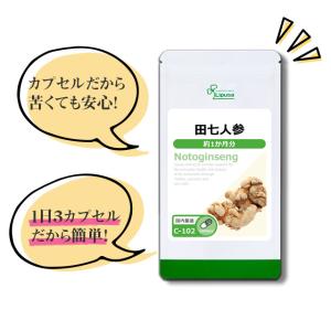 田七人参 約1か月分 C-102 (90カプセ...の詳細画像4