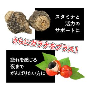 黒マカ 約3か月分 C-189 (180カプセ...の詳細画像2