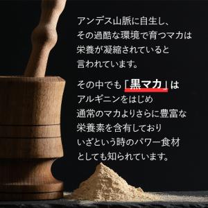 黒マカ 約3か月分 C-189 (180カプセ...の詳細画像1