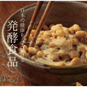 ナットウキナーゼ 約3か月分 C-114 (9...の詳細画像1