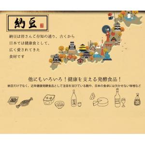 ナットウキナーゼ 約3か月分 C-114 (9...の詳細画像2