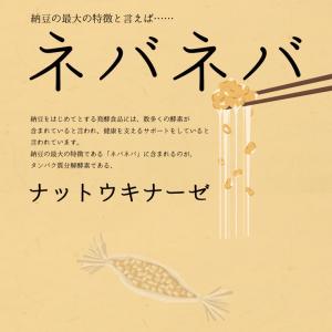 ナットウキナーゼ 約3か月分 C-114 (9...の詳細画像3