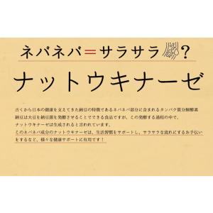 ナットウキナーゼ 約3か月分 C-114 (9...の詳細画像4