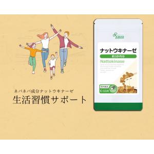 ナットウキナーゼ 約3か月分 C-114 (9...の詳細画像5
