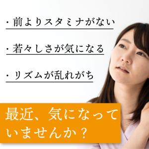 生にんにく+マカ 約3か月分 C-184 (9...の詳細画像2
