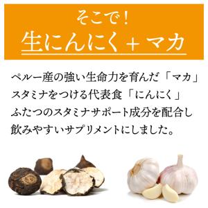 生にんにく+マカ 約3か月分 C-184 (9...の詳細画像3