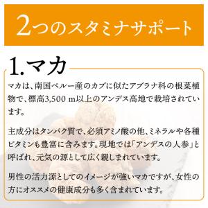 生にんにく+マカ 約3か月分 C-184 (9...の詳細画像4