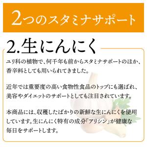 生にんにく+マカ 約3か月分 C-184 (9...の詳細画像5