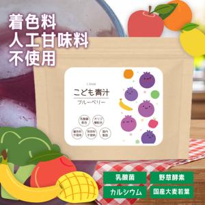 こども青汁 ブルーベリー 120g P-1121 野菜不足に カルシウム ビタミン 保存料不使用 オリゴ糖 乳酸菌 大麦若葉 植物酵素 ※2026年8月30日期限
