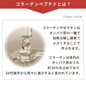 牛スーププロテイン 80g P-1122 タン...の詳細画像3