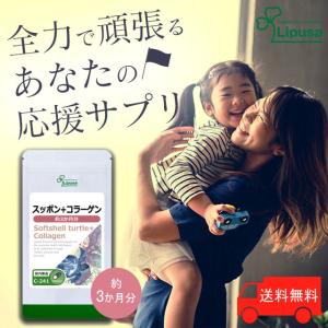 スッポン＋コラーゲン 約3か月分 C-241 (90カプセル) サプリメント 美容