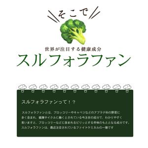 スルフォラファン粒 約3か月分 T-3751 ...の詳細画像4