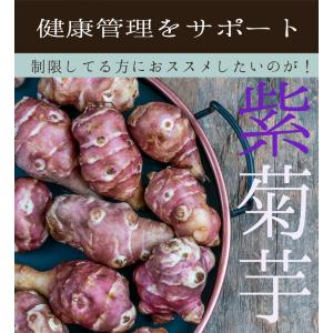 紫菊芋のイヌリン 約1か月分 T-645 (9...の詳細画像2