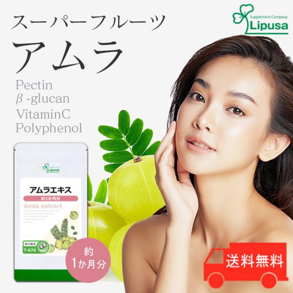 アムラエキス 約1か月分 T-676 (150粒) サプリメント 美容