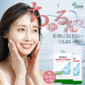 エルセーヌサプリ 中古)ZENITH ゼニス エル・プリメロ 36000VPH 03.2040.400/26.C496