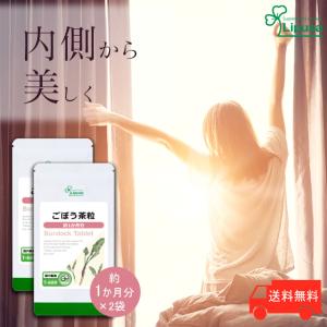 コンドリプラス サプリ ゼオライト カプセル 300粒 kondori+
