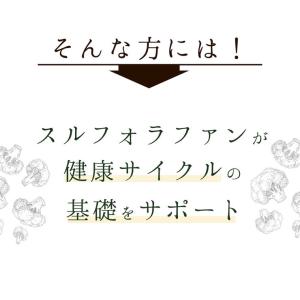 スルフォラファン粒 約1か月分 T-751 (...の詳細画像3
