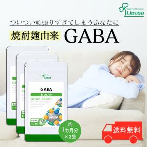 GABA 約1か月分×3袋 T-758-3 サプリメント 健康 ギャバ サプリ