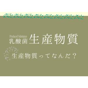 16種類の乳酸菌生産物質 約1か月分 T-76...の詳細画像3