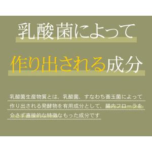 16種類の乳酸菌生産物質 約1か月分 T-76...の詳細画像4