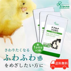 YKワールドビジョン 結 YK622 スーパーエリート乳酸菌 60包 パウダー