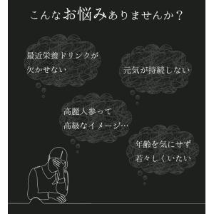 高麗人参粒 約3か月分 T-776 (450粒...の詳細画像3