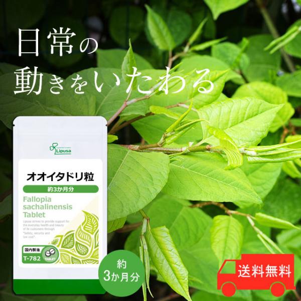 オオイタドリ粒 約3か月分 T-782 (180粒) サプリメント 健康