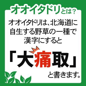 オオイタドリ粒 約3か月分 T-782 (18...の詳細画像3