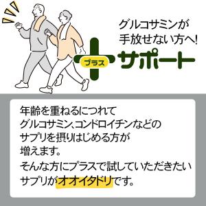オオイタドリ粒 約3か月分 T-782 (18...の詳細画像4