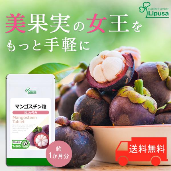 マンゴスチン粒 約1か月分 T-800 (60粒) サプリ 美容