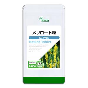 Wバスター 尿酸と脂肪のダブルバスター 1袋 30日分 尿酸値 脂肪 サプリ