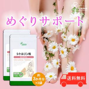 リターミン（NMN）30粒　純度99％以上  40袋 NMNサプリ｜純度99％以上の国内製造【Naturecanの次世代エイジングケア