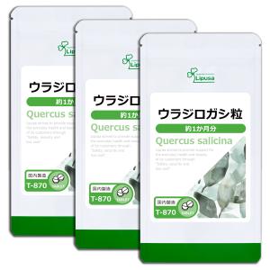 ☆新品 スリムビューティハウス エンザイム フローラ 発酵 エステ