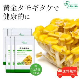 タモギタケ サプリメント 錠剤 黄金たもぎ茸 1袋 360錠入り 純国産 た