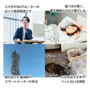 電磁波シールド 純銀EMFシート 68×48c...の詳細画像2