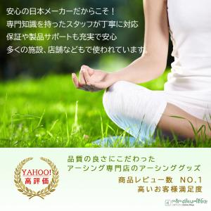 Earthiness Flip-Flops ア...の詳細画像2