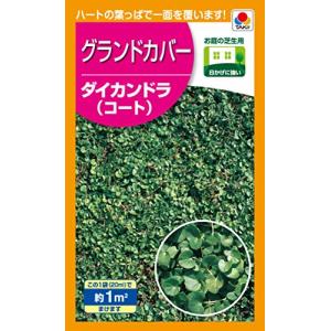 タキイ種苗 ダイカンドラ（コート）