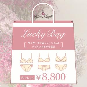 リサマリ 2026年 Lucky Bag ワイヤーブラジャー+ショーツ 3セット(B-Hカップ) Risa Magli Risamagli 福袋 ブラジャー ショーツ 上下セット 2026 ※返品交換不可