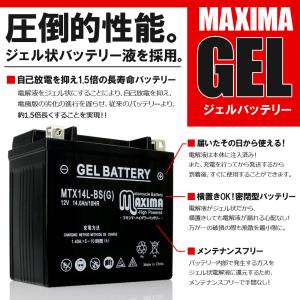 充電済み すぐ使える ジェルバッテリー GT1...の詳細画像2
