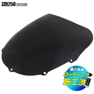 カワサキ（Kawasaki） 爆買 対象品 特典あり ZZR250 ZZ-R250 EX250H