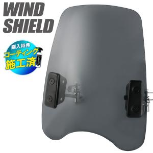 並行輸入品】 ジータレーシング(ZETA RACING) WR155R '20 WR250R